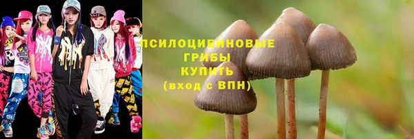 MESCALINE Дмитриев
