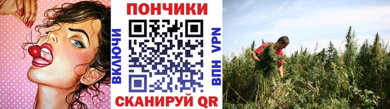 наркошоп  Зверево  mega ТОР  дарк нет как зайти  Каннабис индика 